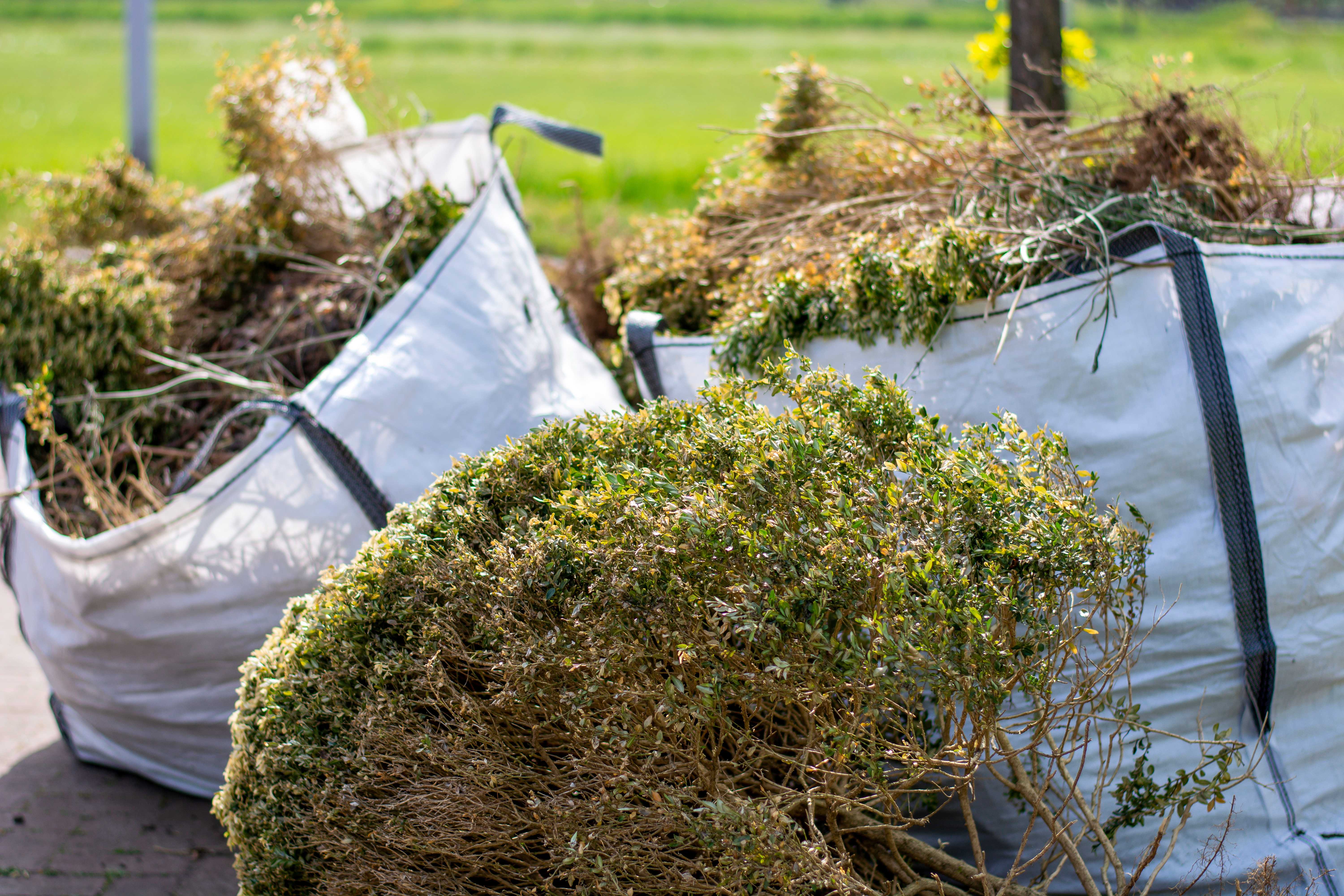 Sacramento Green Waste Removal